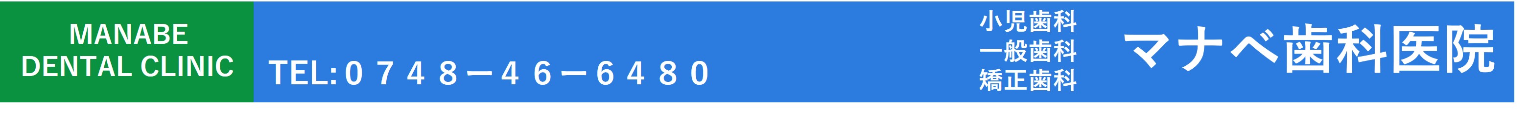 �}�i�x���Ȉ�@�@�ߍ]�����s�̎����